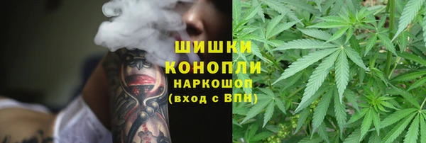 ГАЛЛЮЦИНОГЕННЫЕ ГРИБЫ Надым