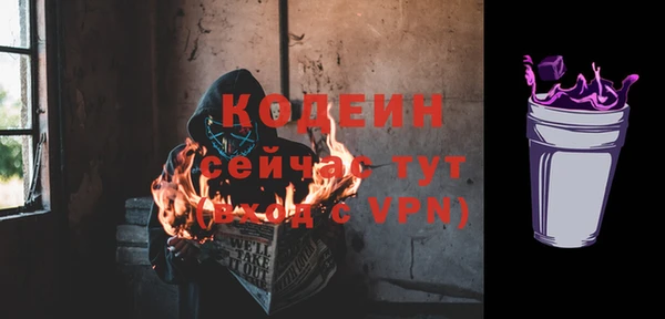 индика Заречный