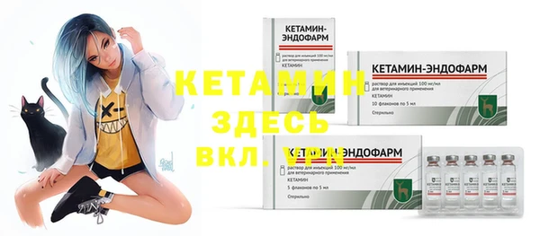сатива Нея