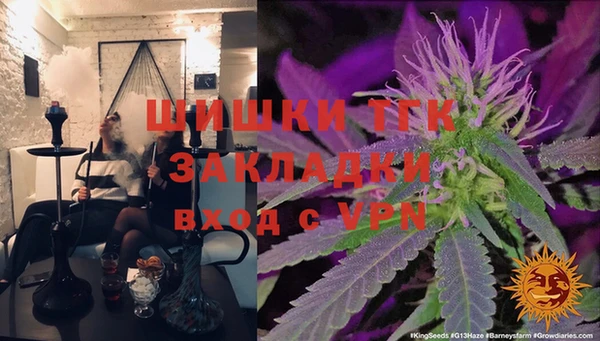 ГАЛЛЮЦИНОГЕННЫЕ ГРИБЫ Надым