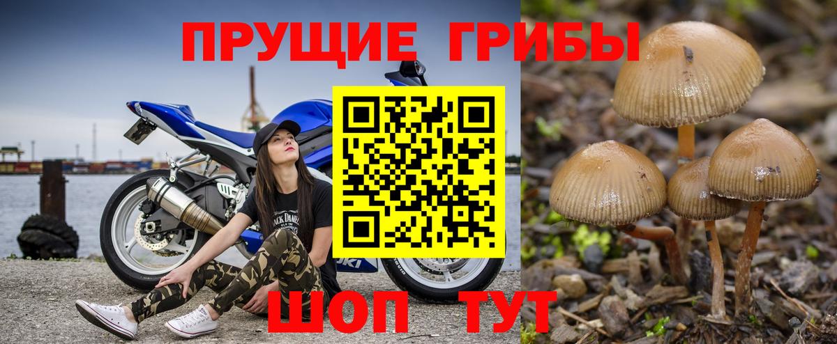 Галлюциногенные грибы прущие грибы Якутск
