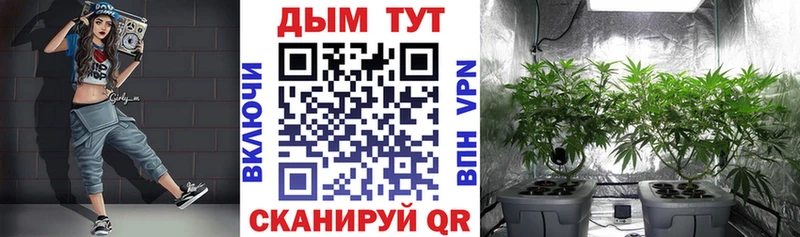 как найти закладки  кракен ONION  Бошки марихуана тримм  Якутск 